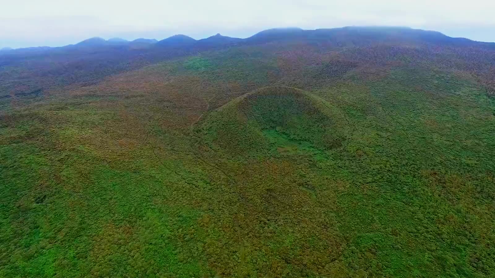 Aerial view of invaded scrub covering the volcanic cones of the Santa Cruz highlands