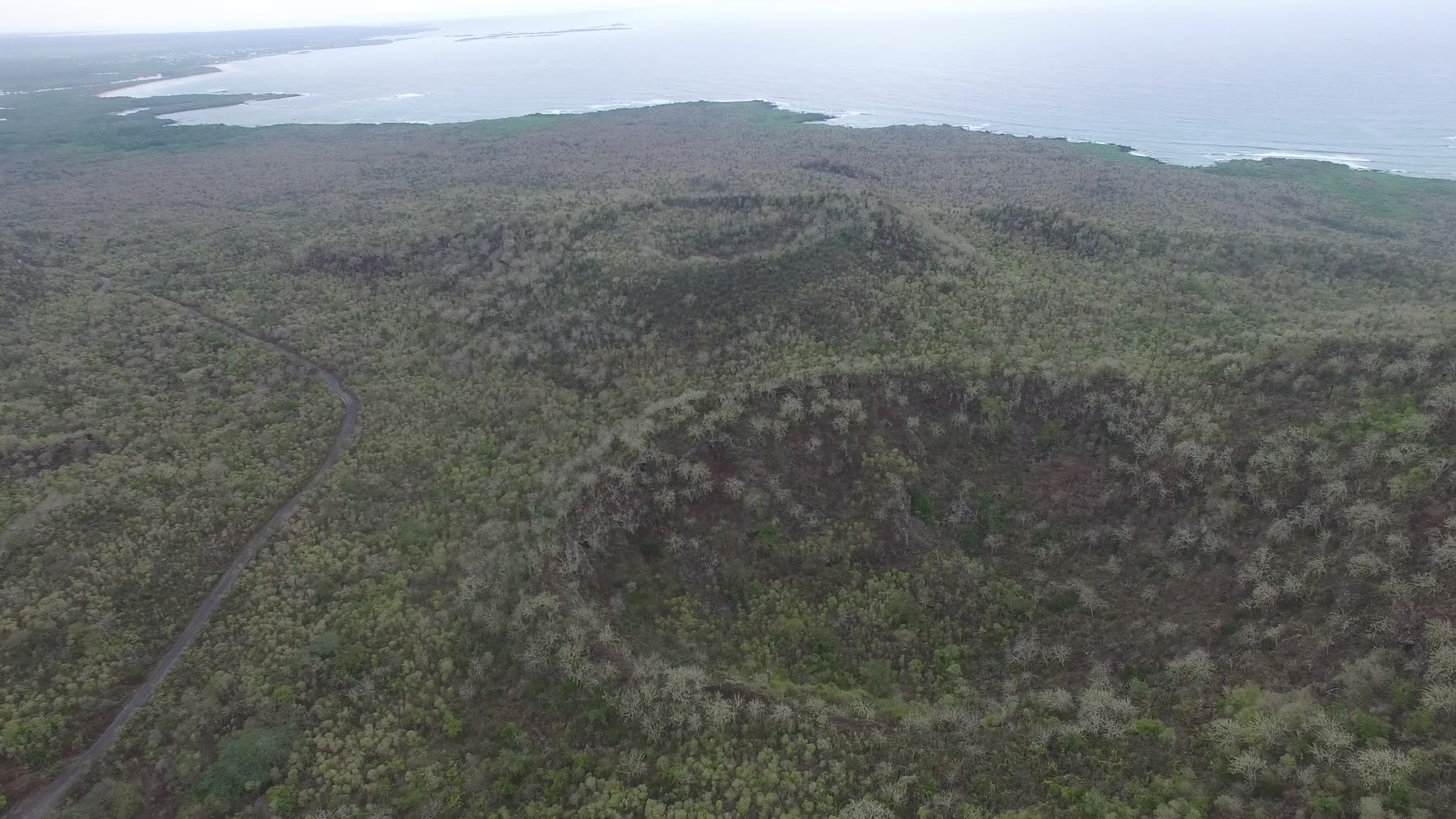 Aerial view of a volcanic crater in the Isabela highlands, with the coastline beyond