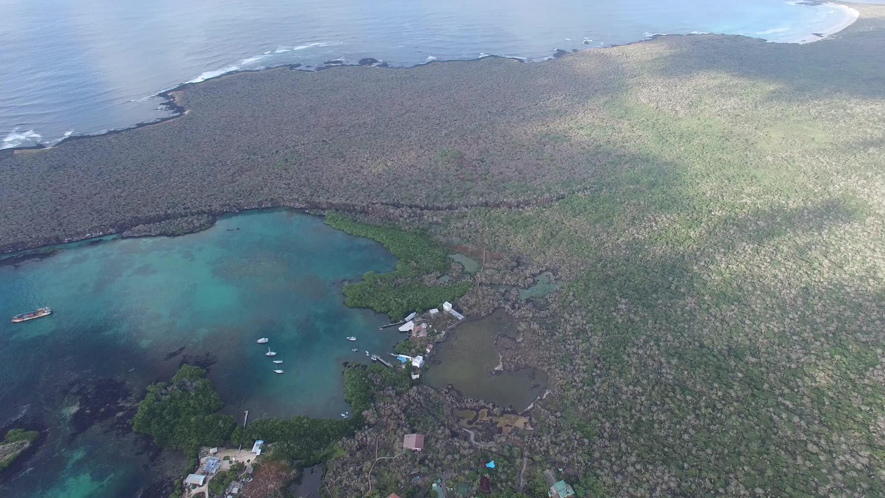 Turquoise lagoon set into black lava rock on the Santa Cruz coast